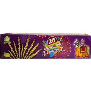 25 shot rider box