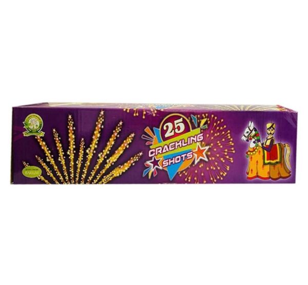 25 shot rider box