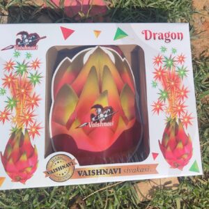 dragon fruit 1 piece